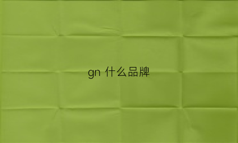 gn什么品牌(gnm什么牌子)